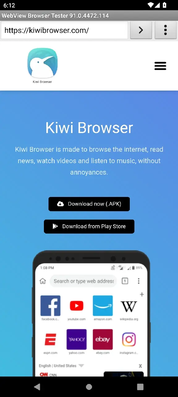 Kiwi Browser Installation